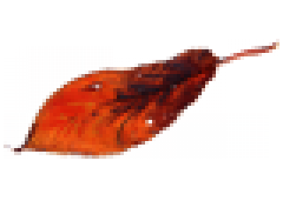 shuye.png