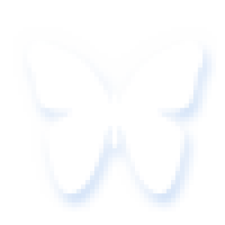 蝴蝶2.png
