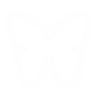 蝴蝶6.png