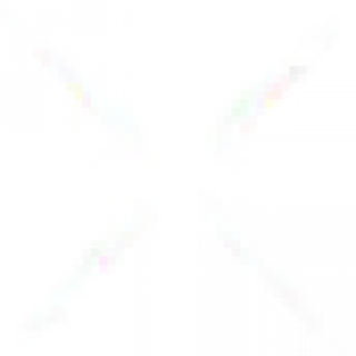x1.png