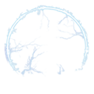 保护罩1.png