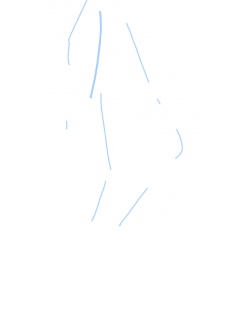 a1.png