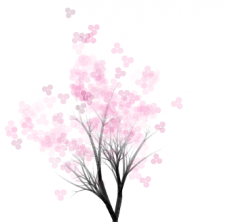 sakura tree