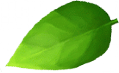 leaves.png
