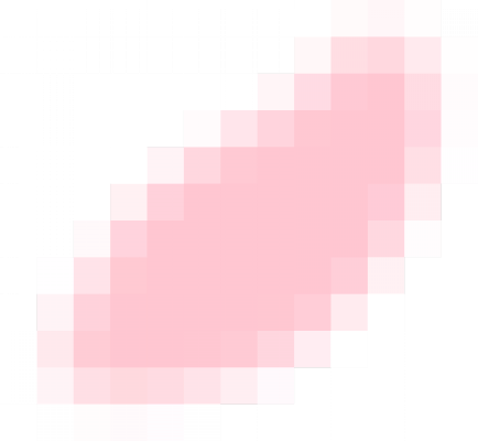 花瓣1.png