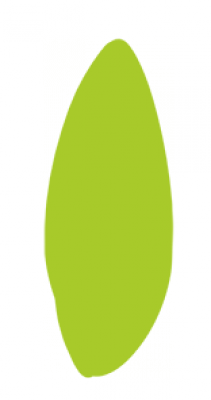 树叶.png
