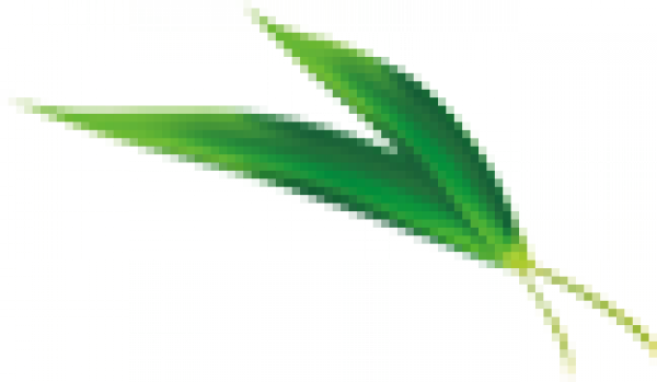 tre1233.png