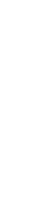 Layer 2 copy 2.png
