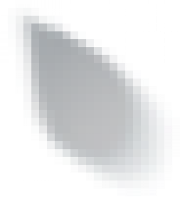 yudi.png