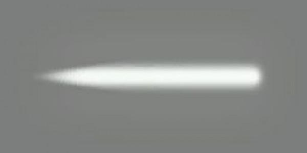 335.jpg