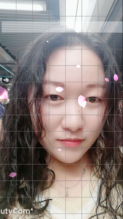最爱的美女