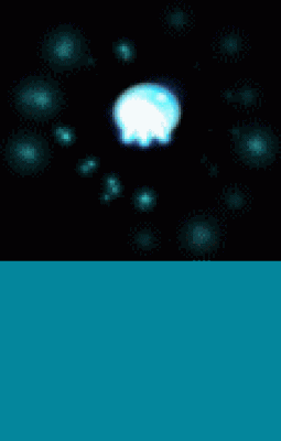 13.gif