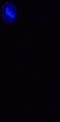 22.gif