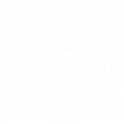 dian2.png