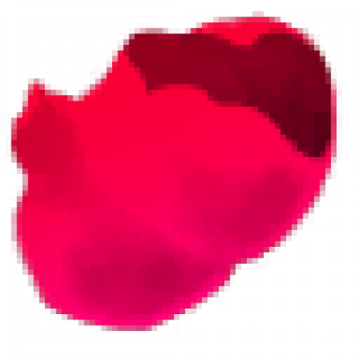 5555_00000.png
