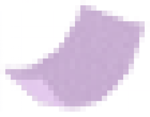 basketball_ribbon_2.png