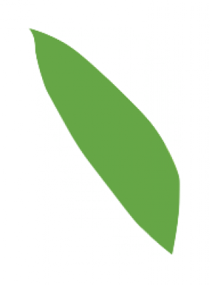 shuye.png