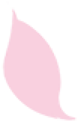 8.png