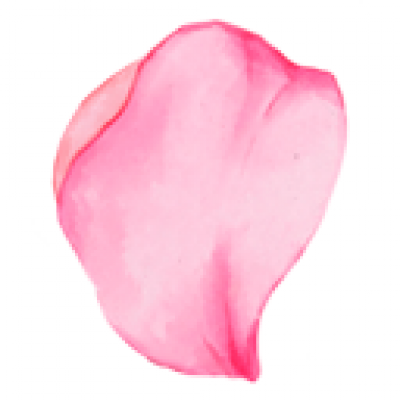 hua.png