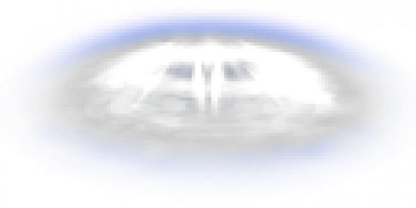 wsparticle_ring12.png