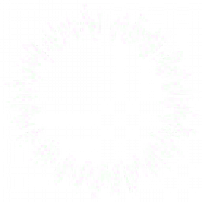 wsparticle_ring20.png