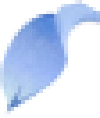 01.png