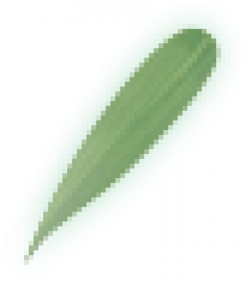 Materia_Bamboo.png