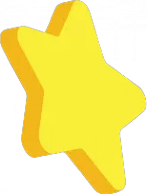 solts_result_star_2.png