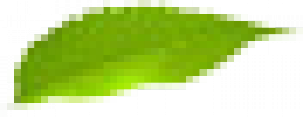 Leaf.png