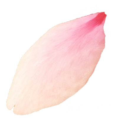 sakura.png