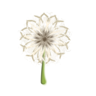 1_00000.png