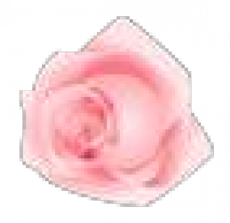 gggift_lv6_rose.png