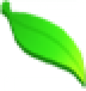 _0000s_0001_图层-37-拷贝-2.png