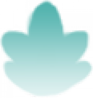 水花2.png