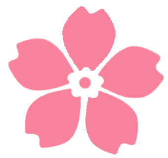33333.png