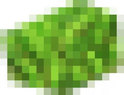 grassFragment.png