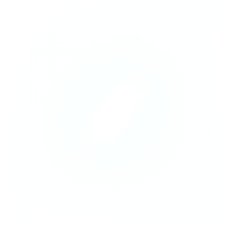 snowP.png