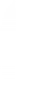 yuan.png