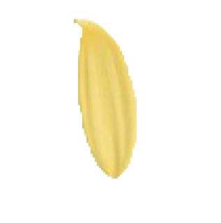 fhet.png