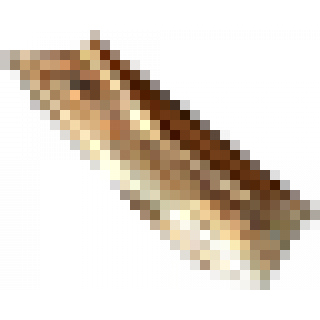 Wall_Wood_Crack_P1.png