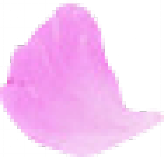 花瓣1.png