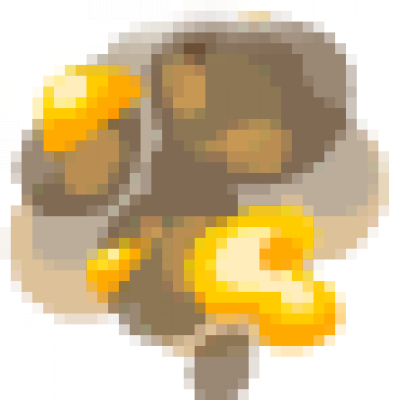 55.png