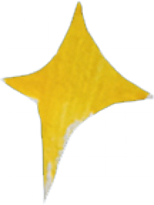 star.png