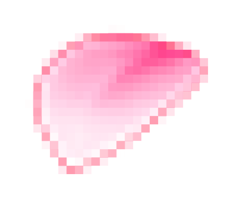 huaban.png