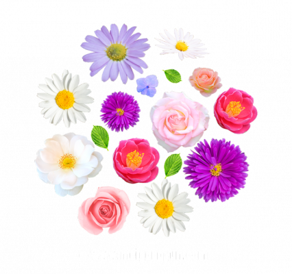 2dfeafc7e3838773cd4a176a666c1ef91fde42cfba33d-d2aRVN_fw658.png