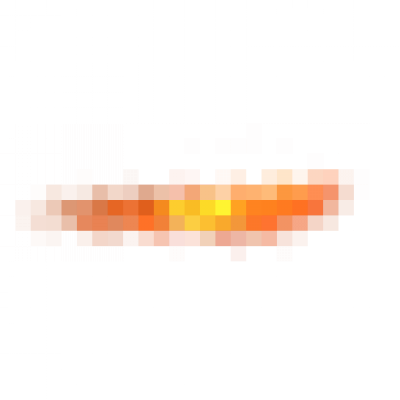 lizi11.png