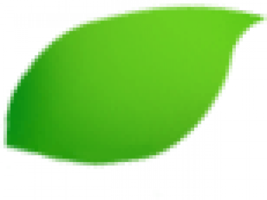 leaf1.png