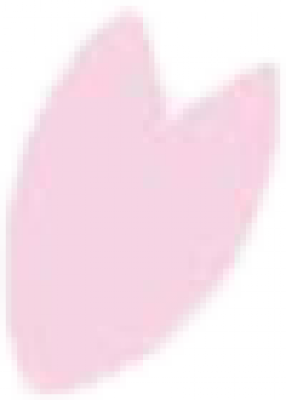 sakula.png