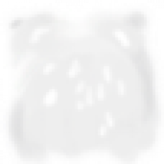 huoyanl2.png
