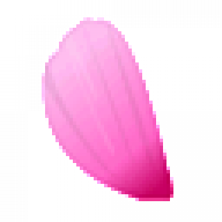 petal2.png